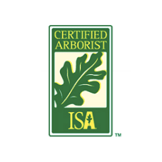 Certified Arborists with the ISA